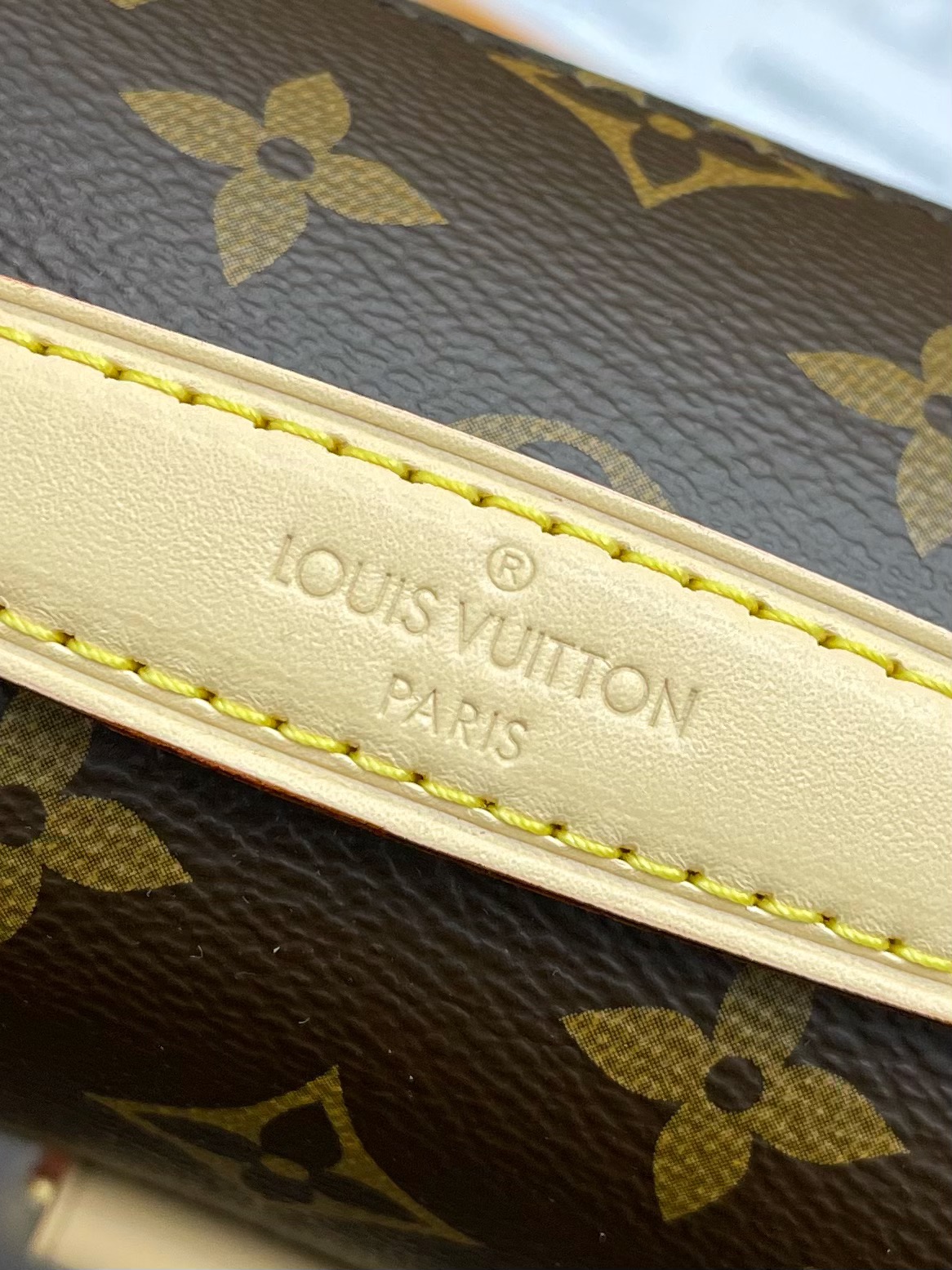 LV Satchel bags